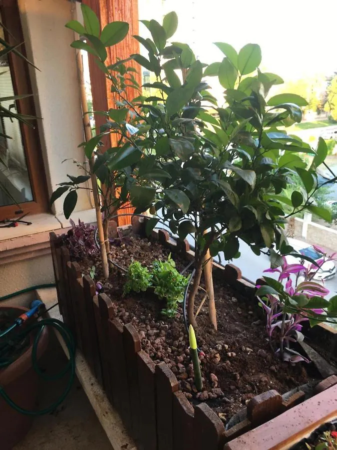 Ferienwohnung Orange Garden Antalya