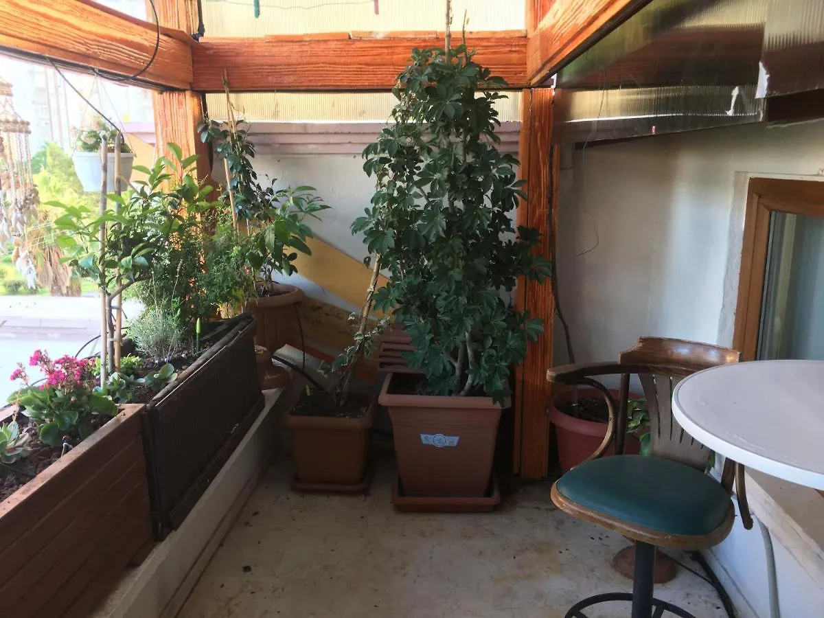 Rum i privatbostad Orange Garden Lägenhet Antalya Turkiet